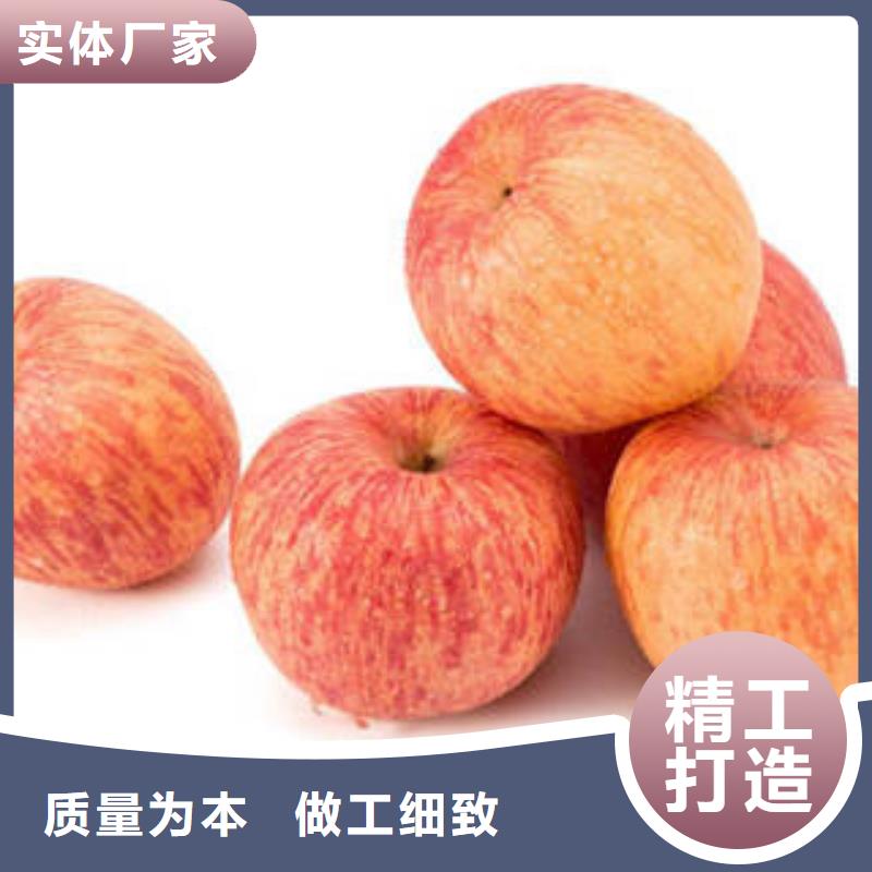 红富士苹果型号全价格低
