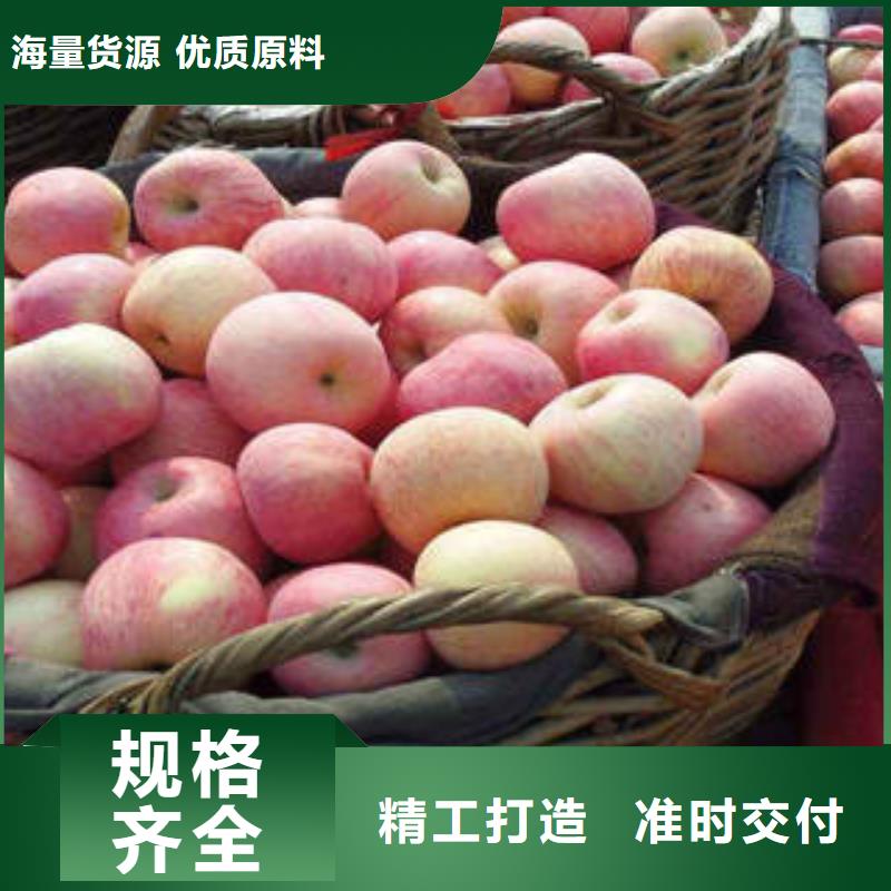 红富士苹果_苹果源头工厂量大优惠