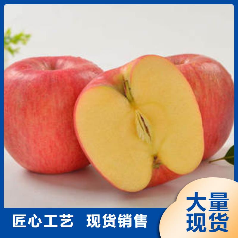 红富士苹果,苹果批发实地大厂