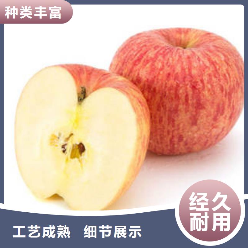 红富士苹果苹果源头工厂