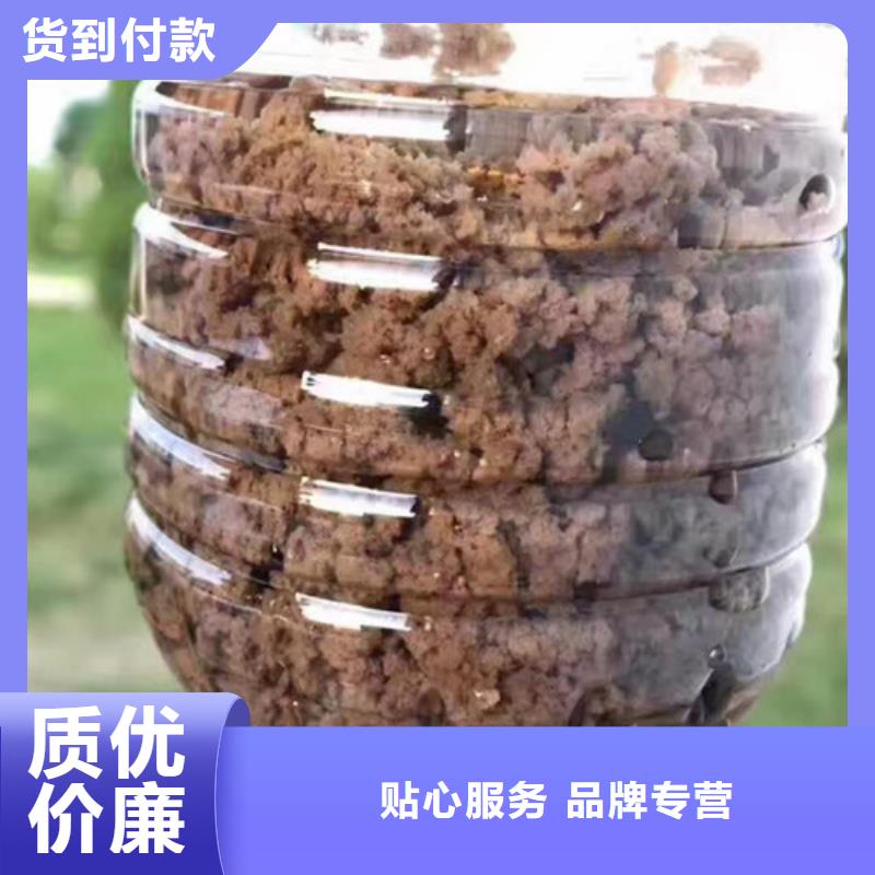 聚丙烯酰胺_工业葡萄糖厂家技术完善