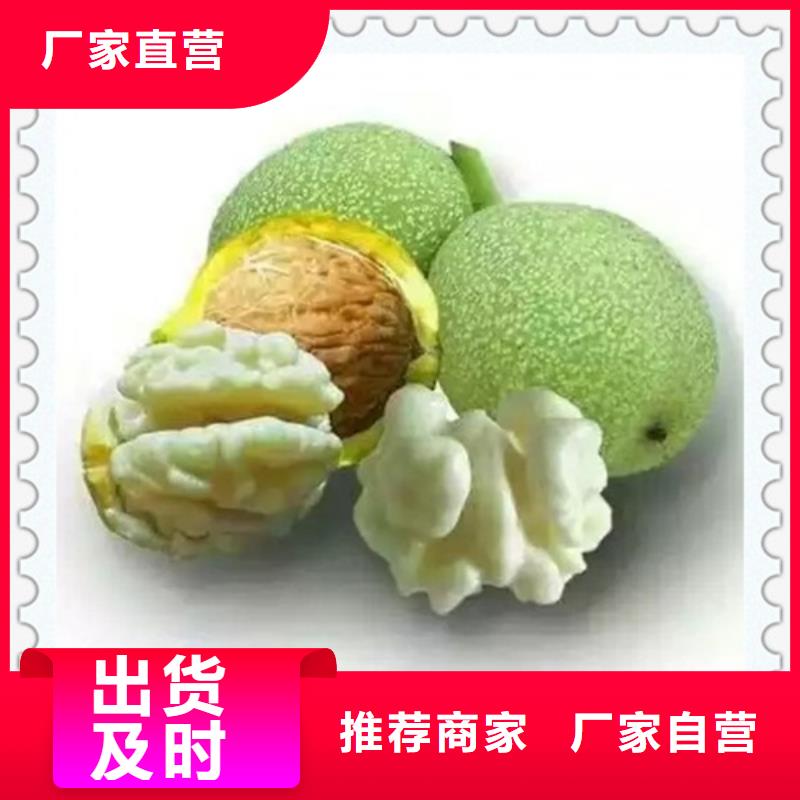 核桃苗板栗苗0中间商差价