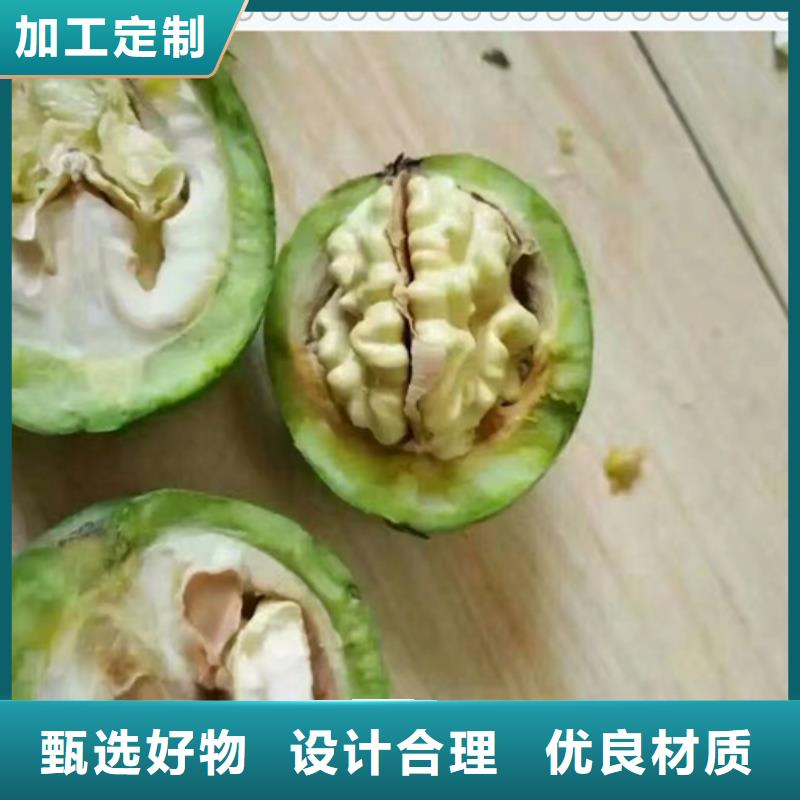 核桃苗葡萄苗经验丰富质量放心