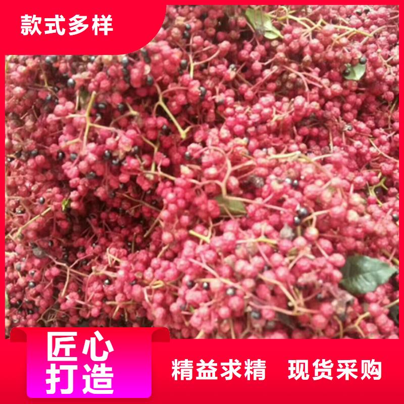 花椒苗桃树苗厂家直接面向客户