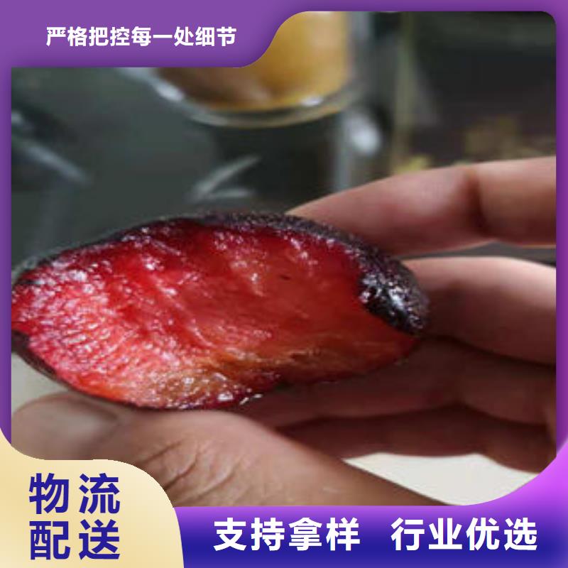 【李子苗-花椒苗质量检测】