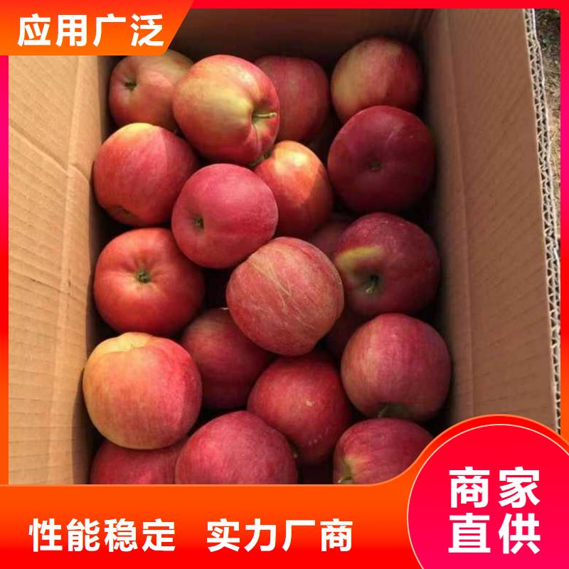 苹果苗山楂苗一周内发货
