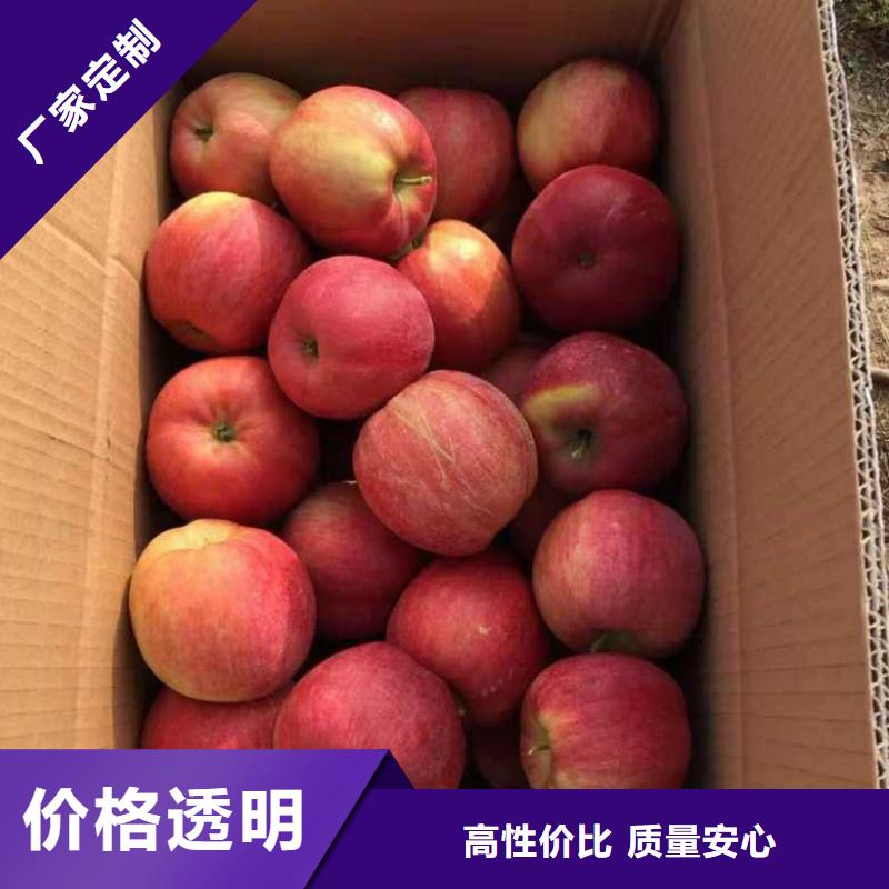 苹果苗梨树苗买的放心