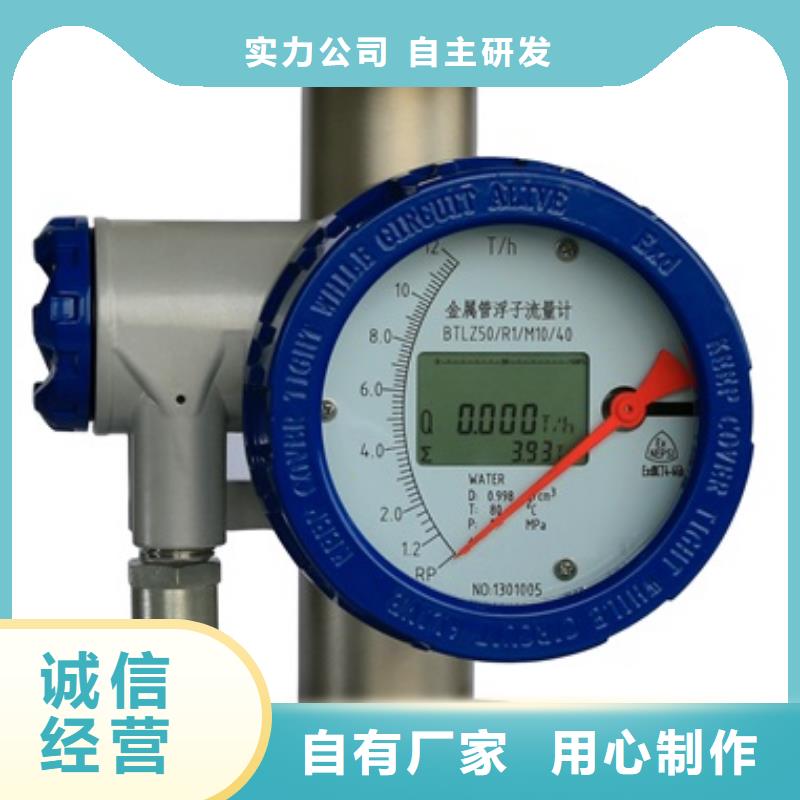 内衬PTFE金属转子流量计温度无线测量系统真材实料加工定制