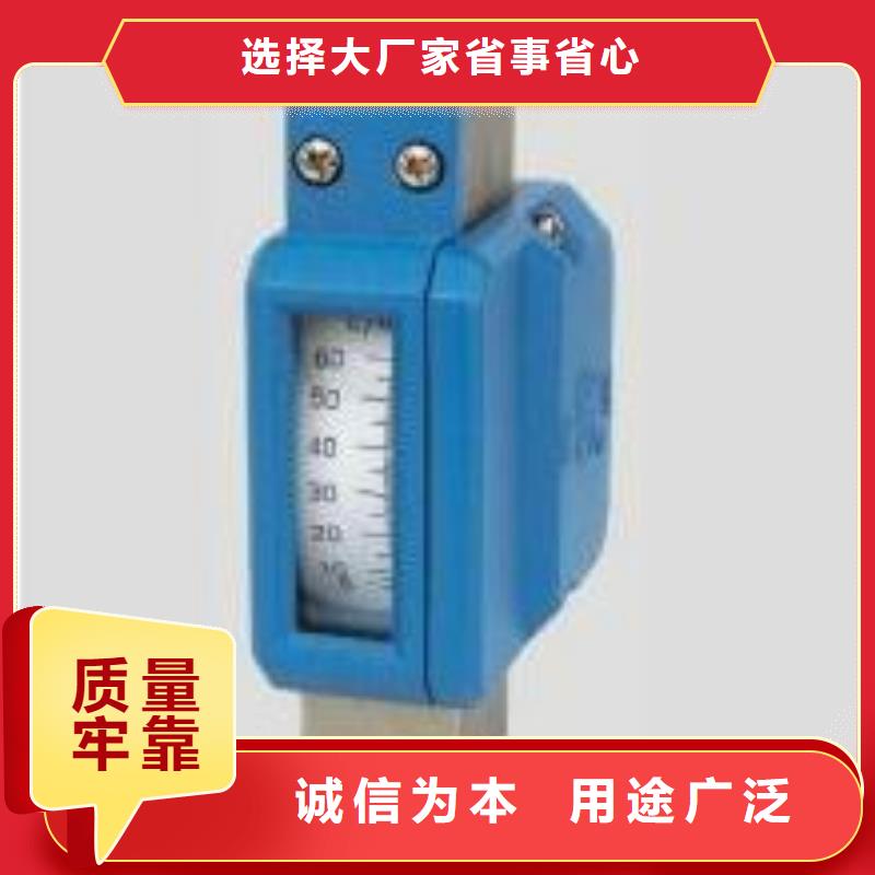 金属浮子流量计【温度无线测量系统】源厂定制