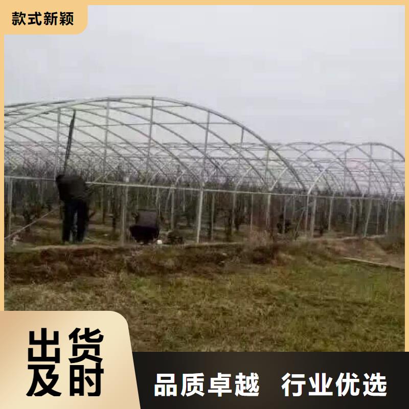 镀锌管材热镀锌工字钢常年供应