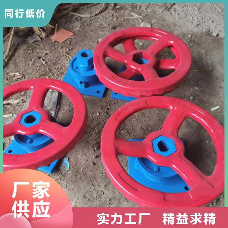 螺杆式启闭机QDA电装启闭机注重细节