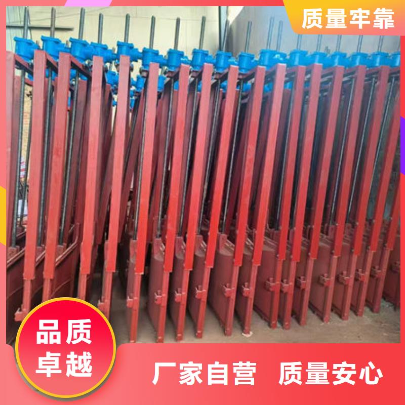 铸铁闸门-球墨铸铁闸门技术先进