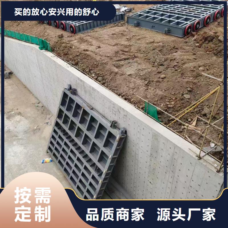 钢坝闸门钢制拍门定制零售批发