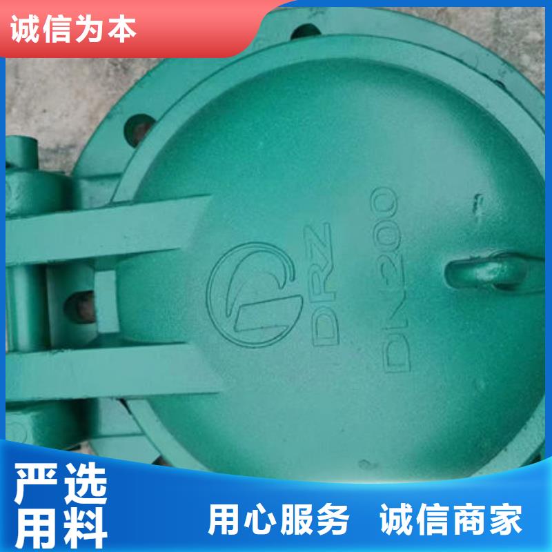 拍门钢拍门精益求精