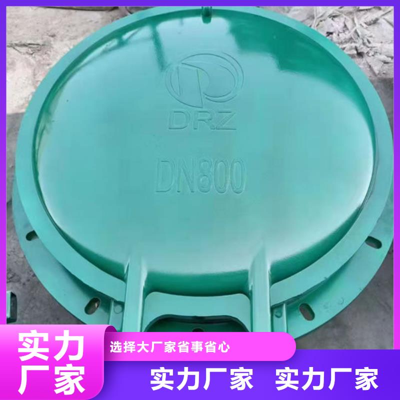 拍门_钢制拍门层层质检