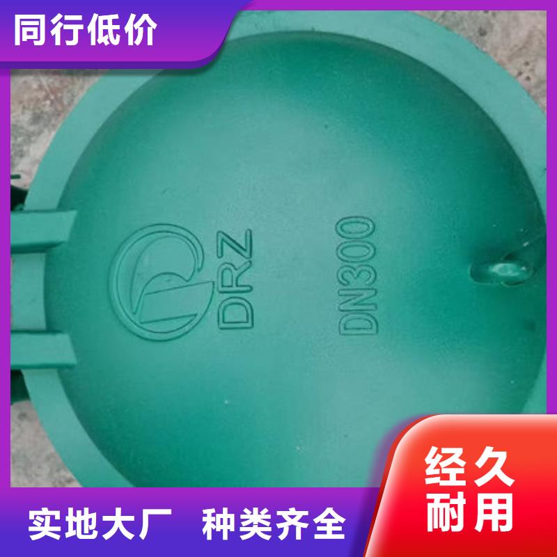 拍门球墨铸铁拍门闪电发货