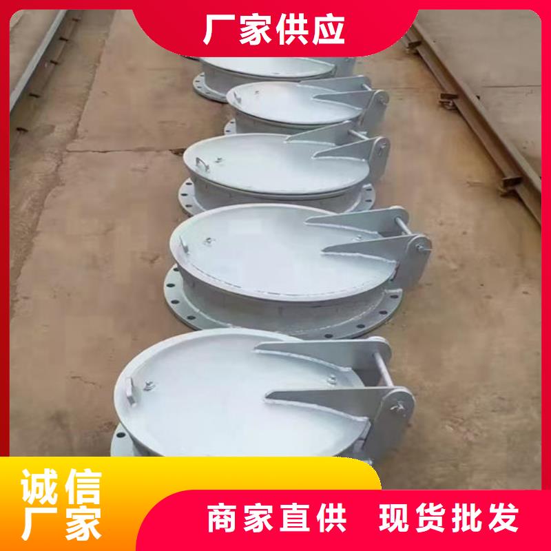 拍门铸铁拍门N年生产经验