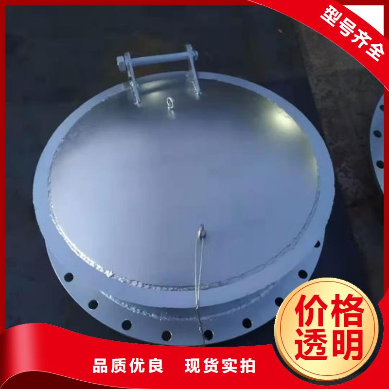 拍门球墨铸铁拍门闪电发货