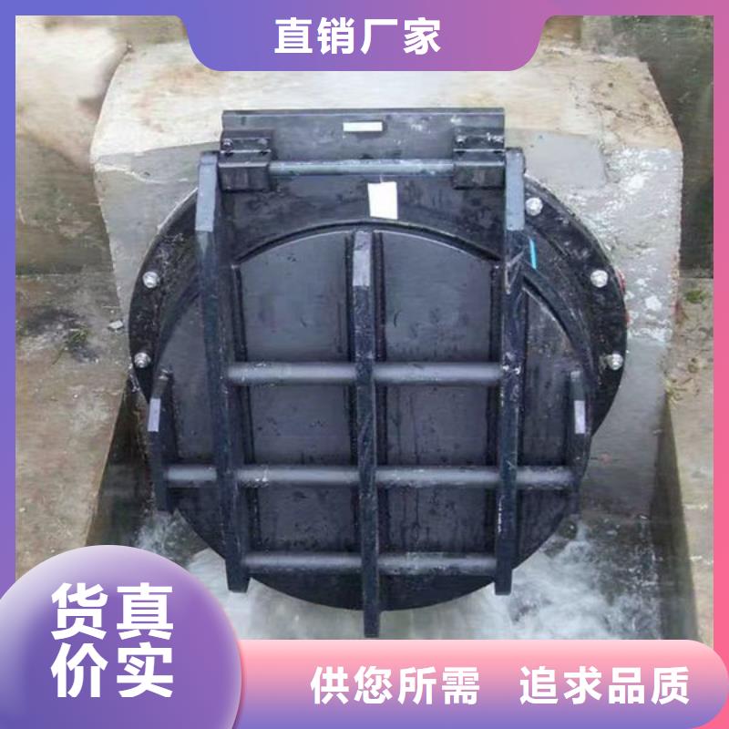 拍门_钢制拍门层层质检