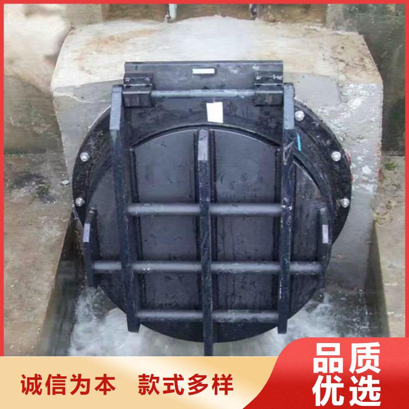 拍门-不锈钢拍门品牌企业