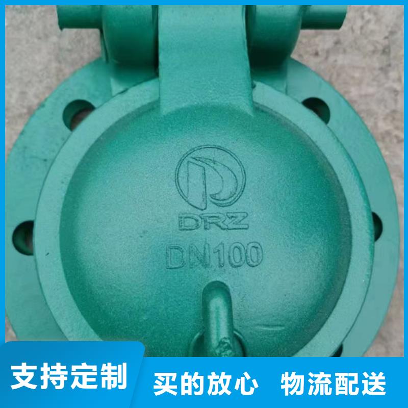 拍门_防倒灌拍门现货充足量大优惠