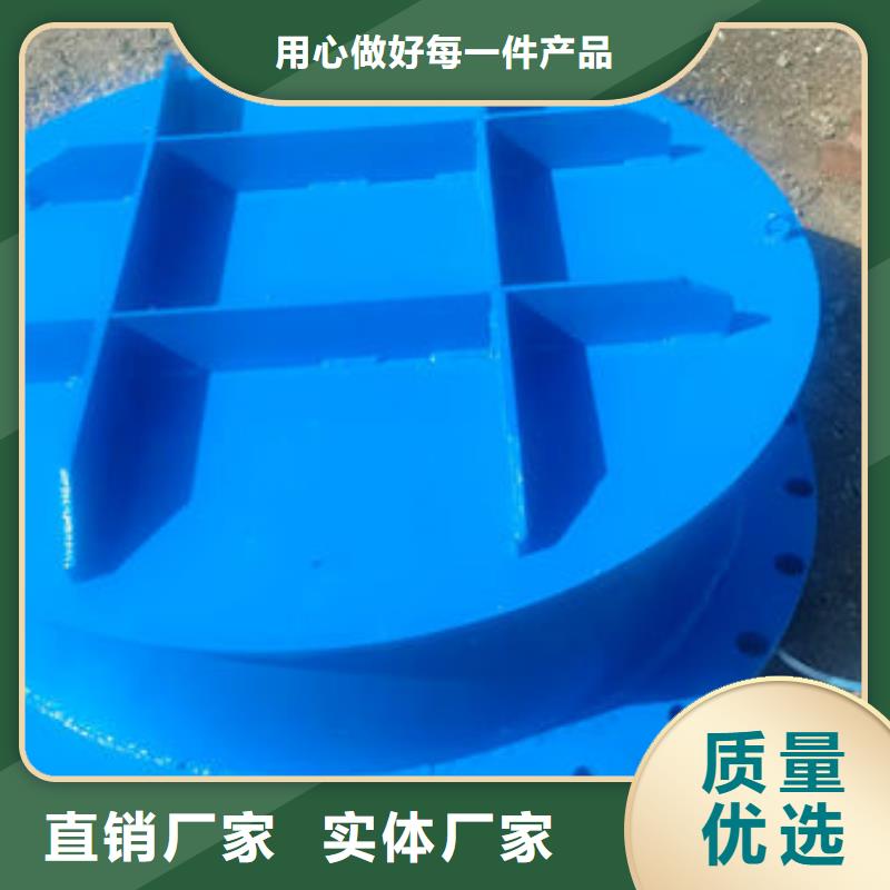 拍门铸铁拍门N年生产经验