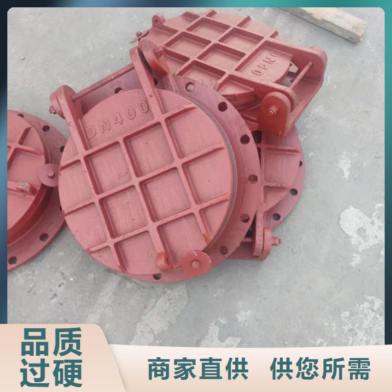 拍门防倒灌拍门生产安装