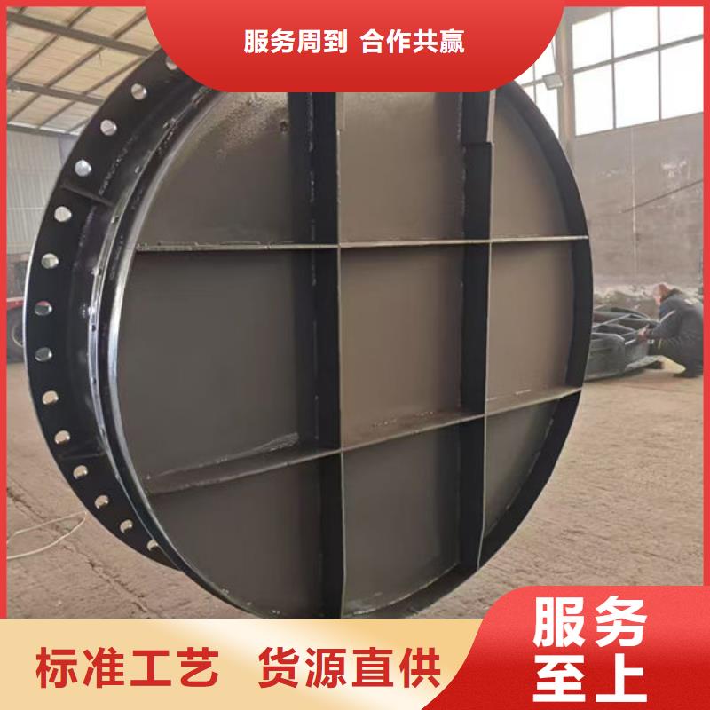 拍门_钢制拍门层层质检
