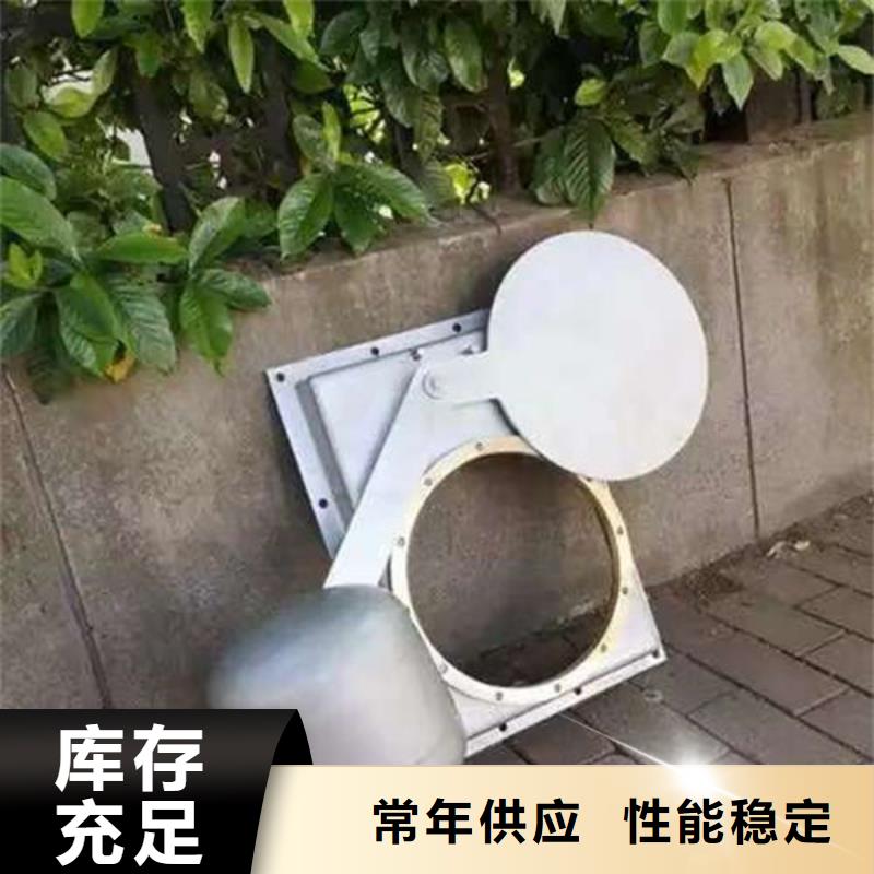 不锈钢闸门,一体式不锈钢闸门真实拍摄品质可靠