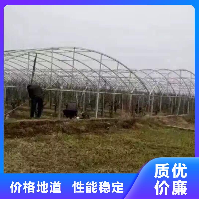 钢管_紫铜排实力雄厚品质保障