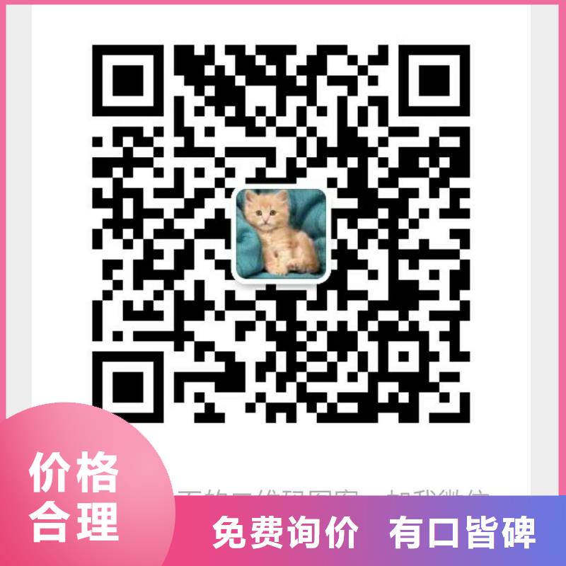 分集水器全程综合水处理器欢迎来厂考察
