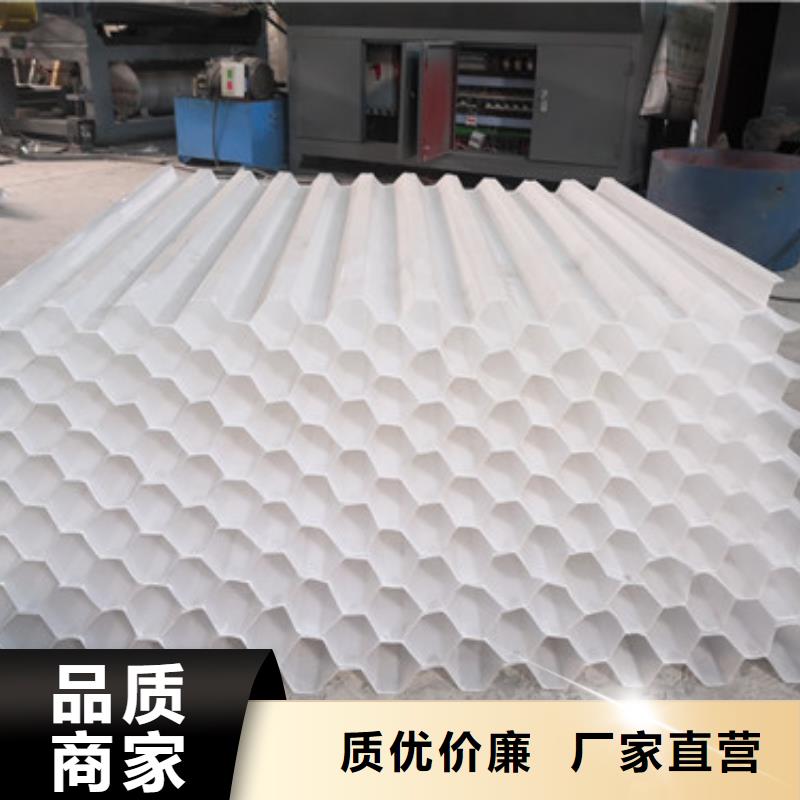 【 蜂窝斜管,滤头滤帽专注品质】豫嵩泡沫滤珠