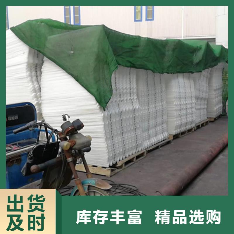 【 蜂窝斜管,滤头滤帽专注品质】豫嵩泡沫滤珠