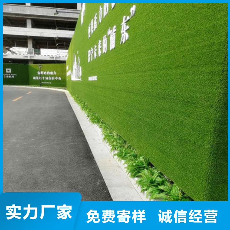 草坪围挡假草皮围挡源厂直接供货