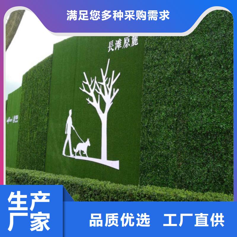 【草坪围挡人造草坪围挡产地批发】