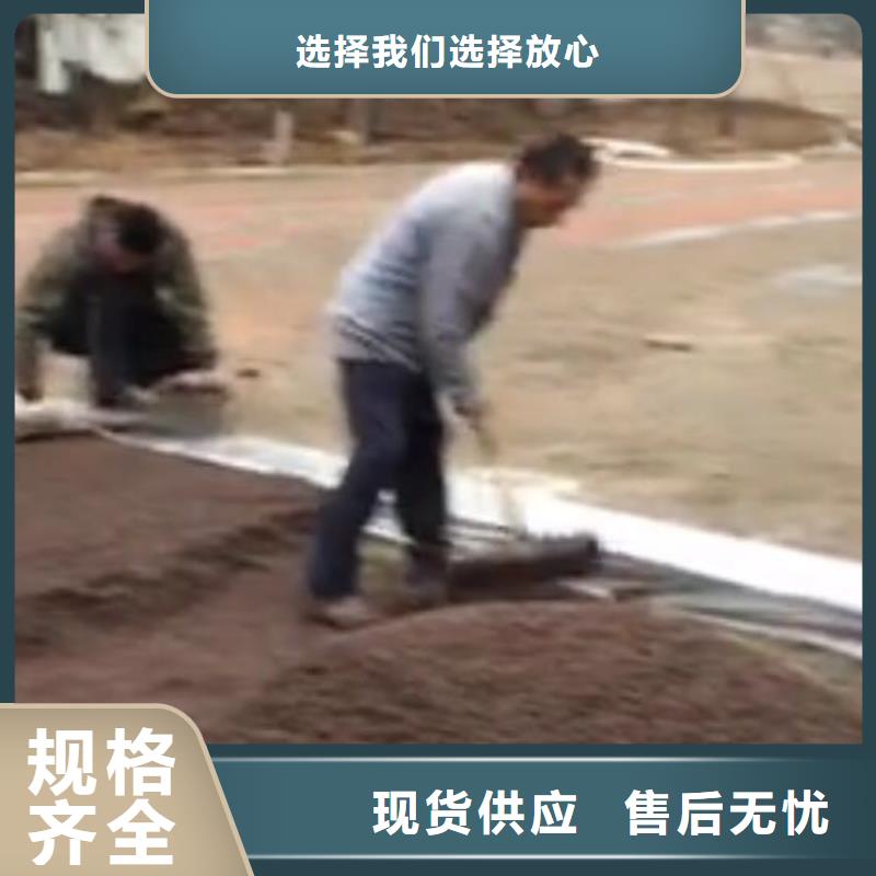 透水,水泥压印地坪高品质现货销售