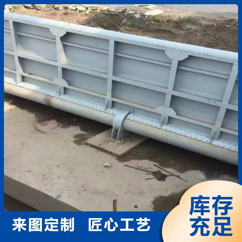 双向提拉钢制闸门厂家诚信经营