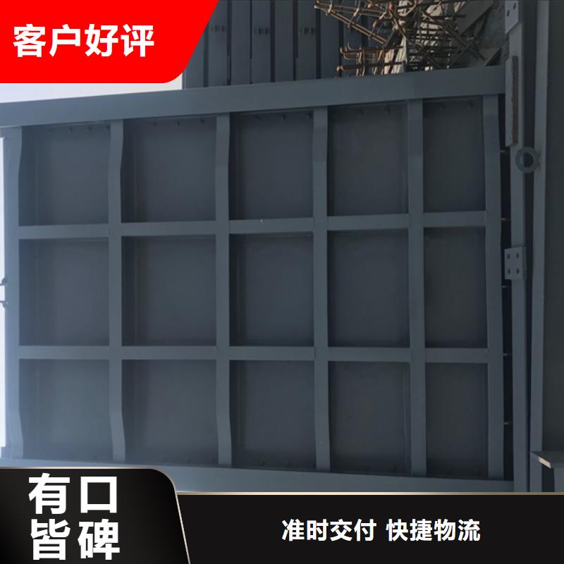 双向提拉钢制闸门厂家诚信经营