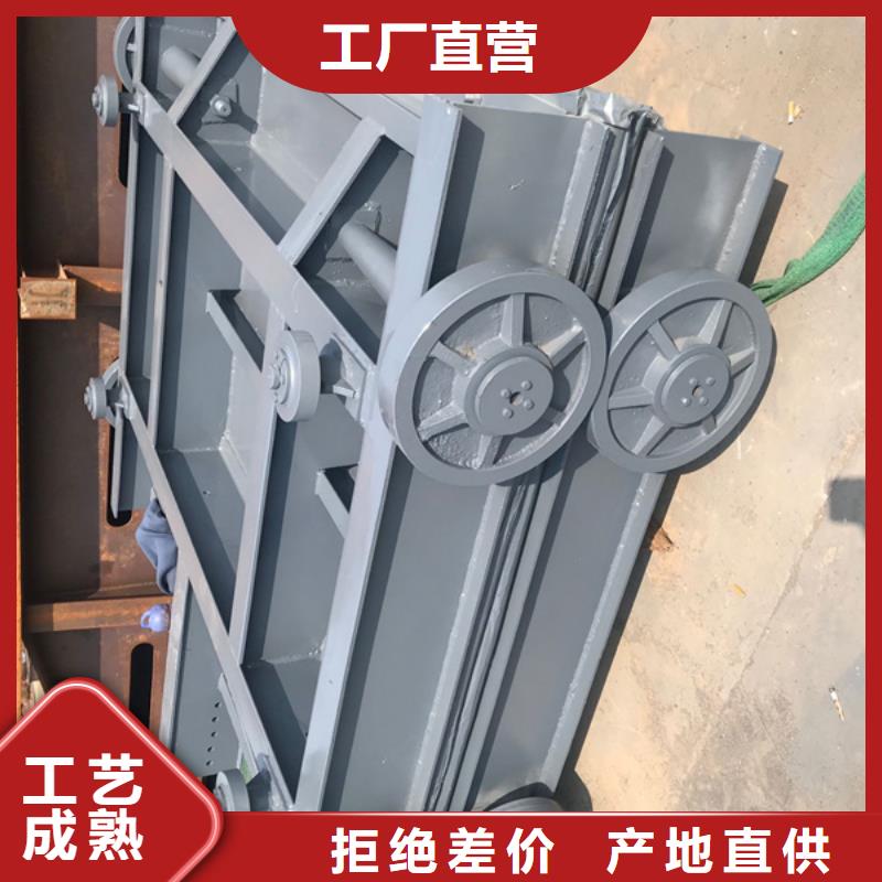 保亭县提拉钢闸门