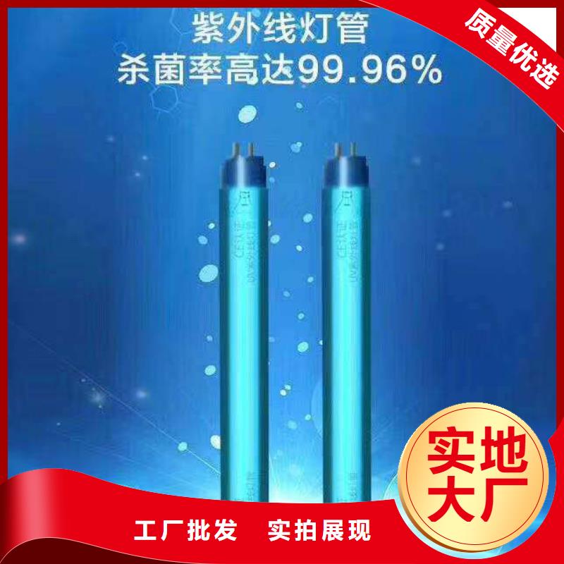 【文件消毒柜】 pp实验台价格有优势-天弘实验仪器制造(六盘水市分公司)