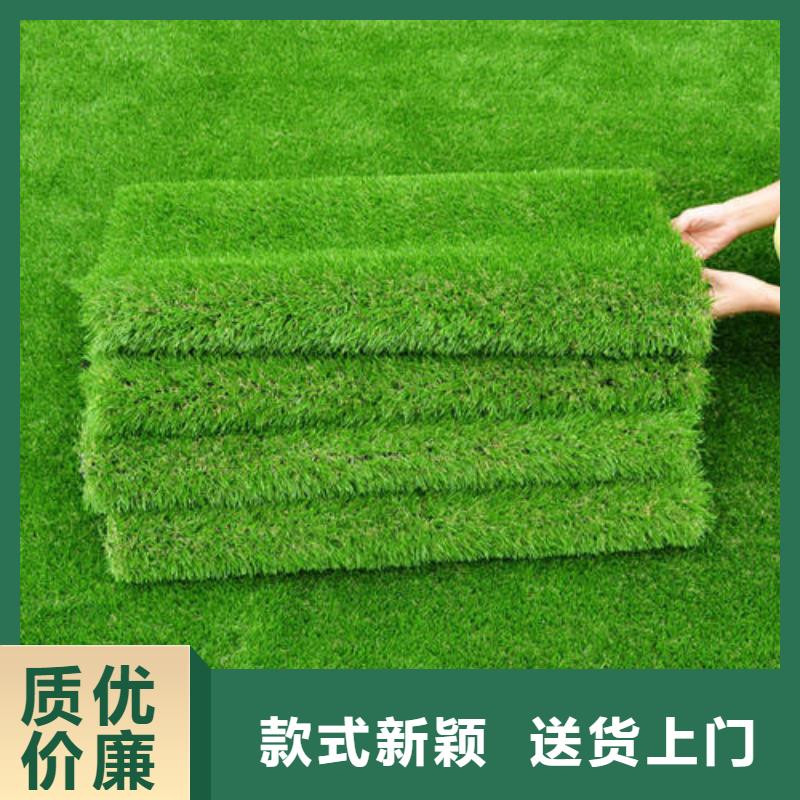 人造草坪_弹性地板球馆产品优良
