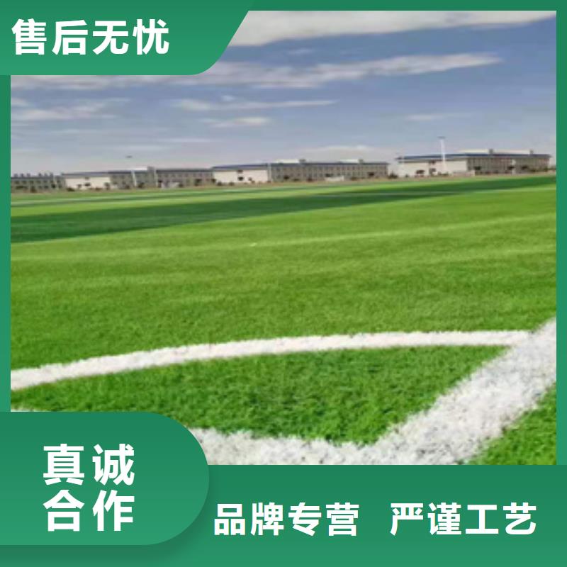 人造草坪-同质透心地材品质服务诚信为本