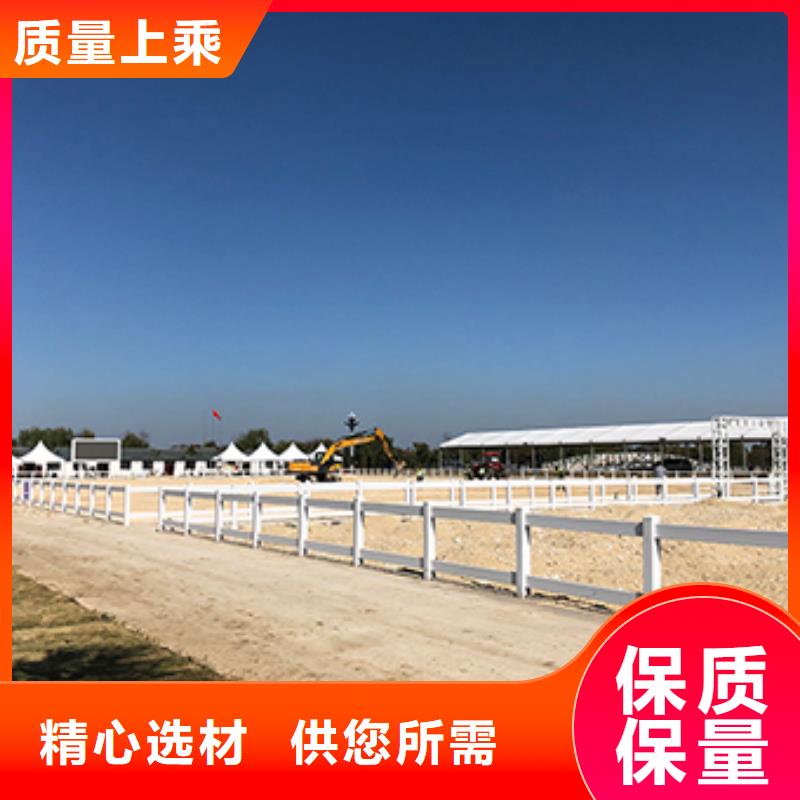 当阳透明帐篷大气美观