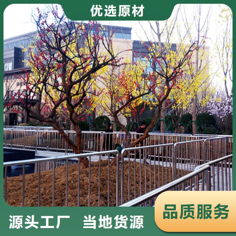 尖顶篷房租赁视频-尖顶篷房租赁-九州婚庆宴会车展览篷房租赁出租展览 (营口市分公司)服务区域鲅鱼圈|大石桥|朝阳|盘锦|抚顺|葫芦岛|鞍山