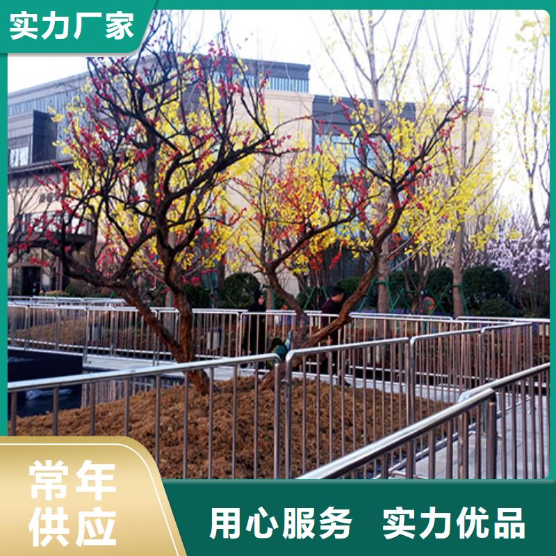 解决方案铁马护栏出租宴会篷房出租租赁拒绝虚高价
