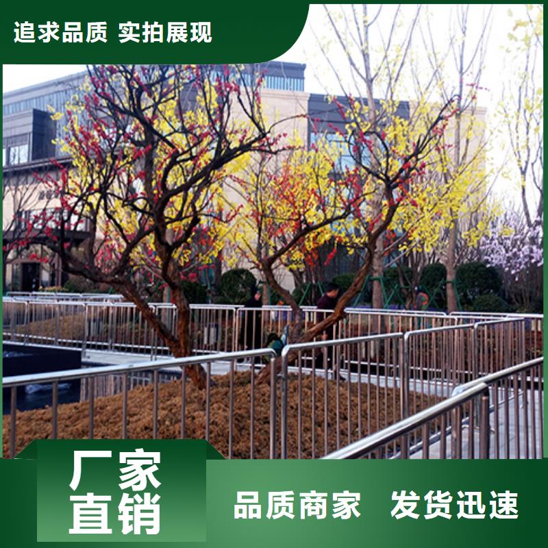 铁马护栏出租红色篷房租赁服务周到_九州婚庆宴会车展览篷房租赁出租展览 (甘孜市分公司)