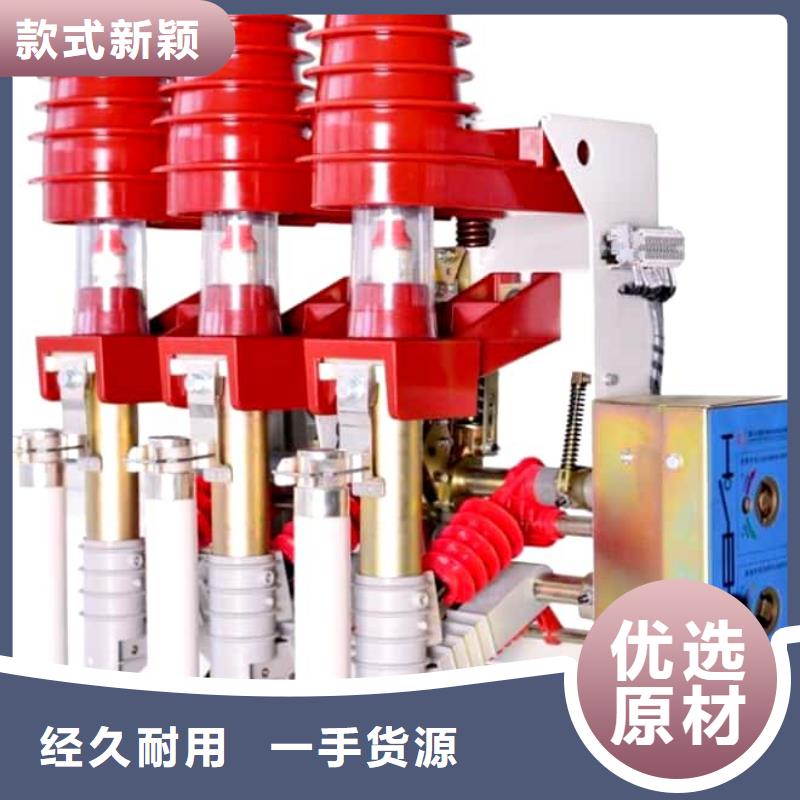 高压负荷开关电磁锁原厂制造