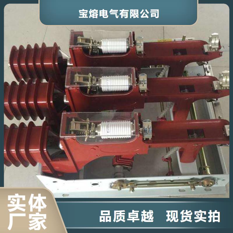 高压负荷开关-避雷器细节展示