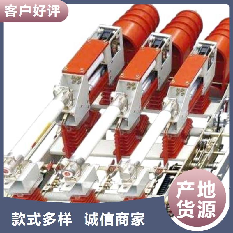 高压负荷开关电磁锁高品质现货销售