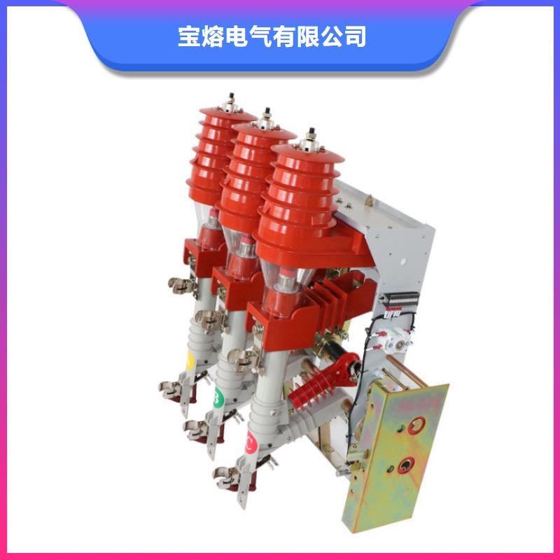 高压负荷开关电磁锁高品质现货销售